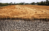 Việt Nam và LHQ đề ra 4 mục tiêu hợp tác phát triển giai đoạn 2022-2026