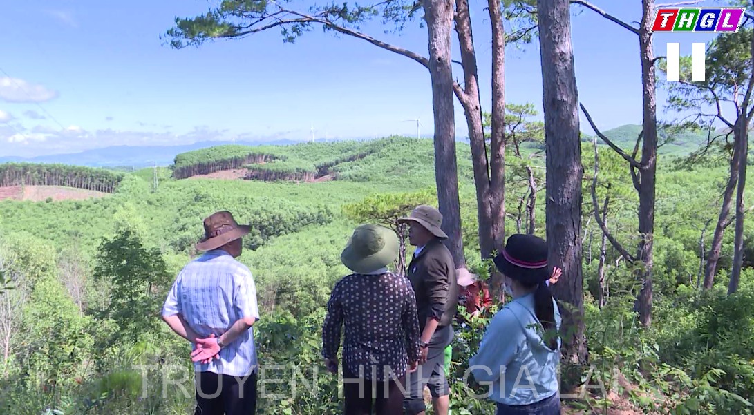 Nhiều khó khăn, vướng mắc khi giao rừng cho chính quyền cấp xã quản lý