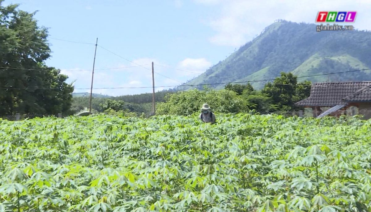 Làng Mor triệu phú nhờ bà con DTTS thay đổi tư duy phát triển kinh tế