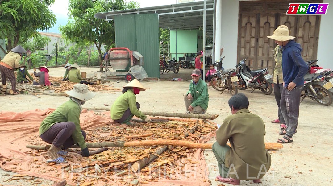 Mang Yang – Đẩy mạnh thực hiện cuộc vận động “Làm thay đổi nếp nghĩ, cách làm”