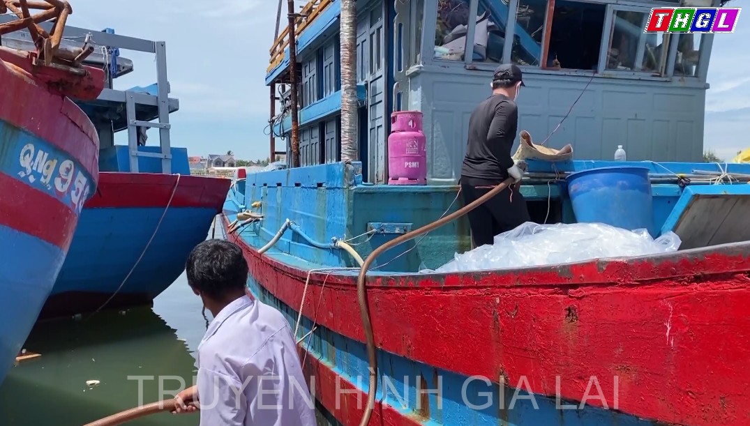 Nhiên liệu giảm giá, ngư dân Quảng Ngãi phấn khởi vươn khơi