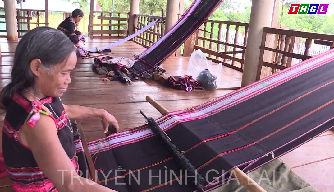 Các cấp Hội LHPN trong tỉnh Gia Lai đã thành lập 41 loại mô hình với gần 7.230 câu lạc bộ (CLB)