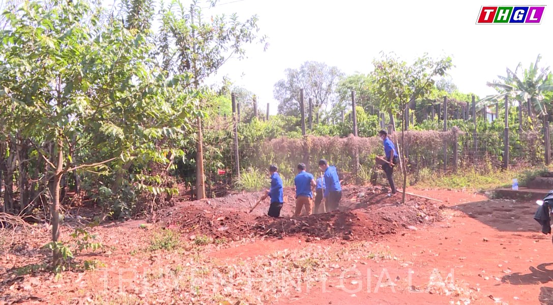 Thanh niên Đức Cơ góp sức trẻ xây dựng quê hương
