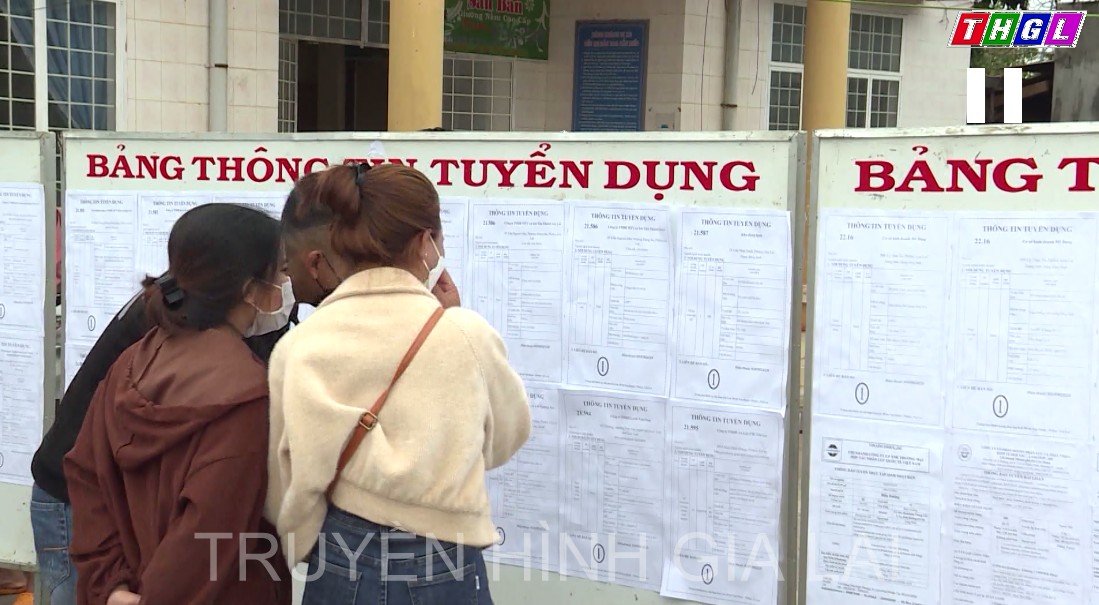 Từ năm 2013 đến nay, mỗi năm Trung tâm Dịch vụ việc làm Gia Lai cung ứng trên 500 lao động cho các đơn vị trong và ngoài tỉnh