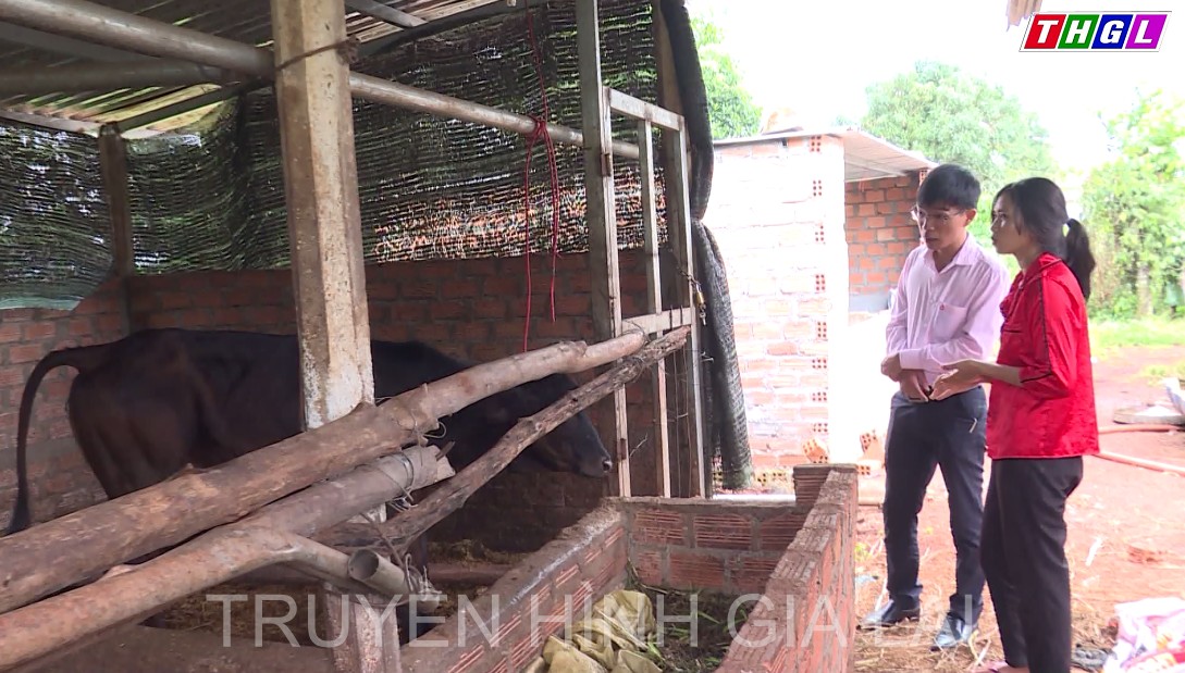 Đak Đoa phát huy vai trò của tín dụng chính sách trong giảm nghèo