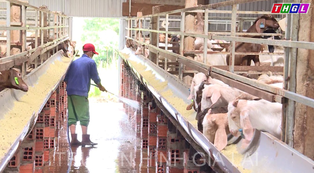 Huyện Chư Prông hiện có 21 hợp tác xã