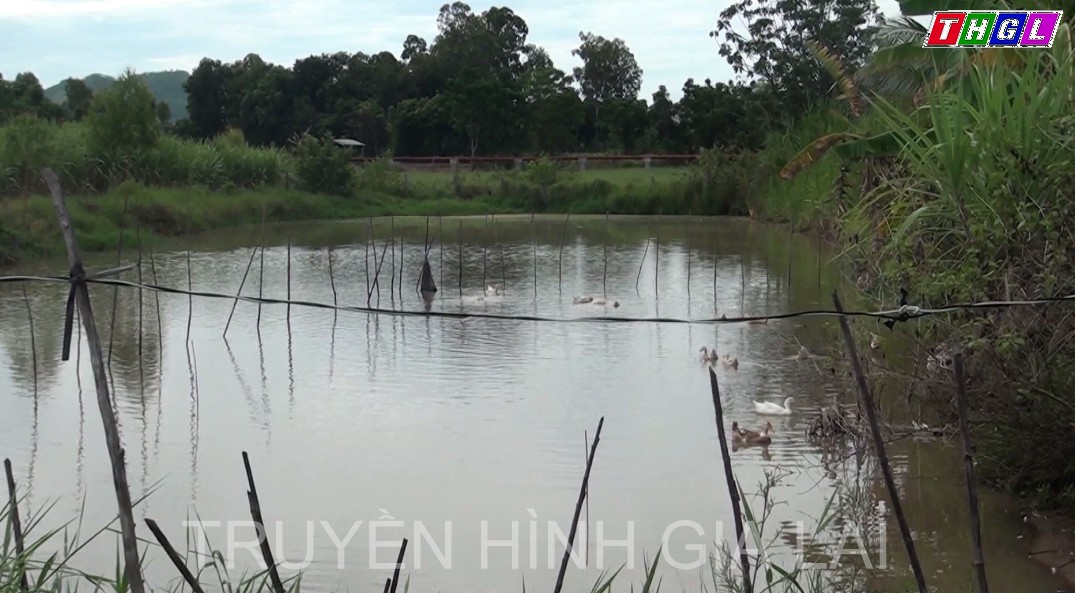 Phạm Kim Oanh – Cựu thanh niên xung phong làm kinh tế giỏi