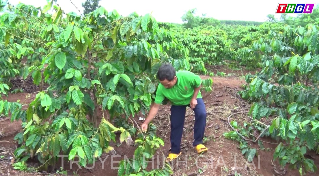 Đồng bào DTTS thay đổi tư duy sản xuất