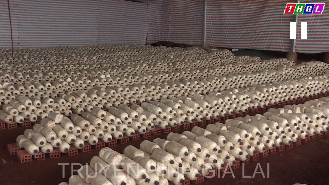 Gia Lai chú trọng xây dựng thương hiệu, nhãn hiệu cho các sản phẩm OCOP