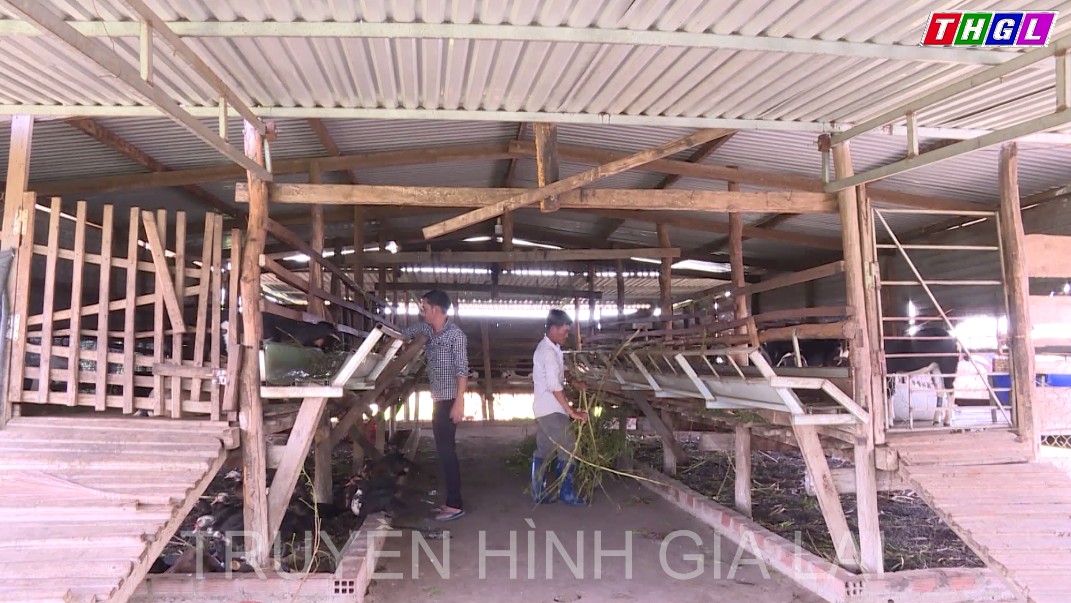 Tỉnh Gia Lai phấn đấu cuối năm 2022, cán bộ quản lý HTX tốt nghiệp cao đẳng, đại học đạt ít nhất 33%