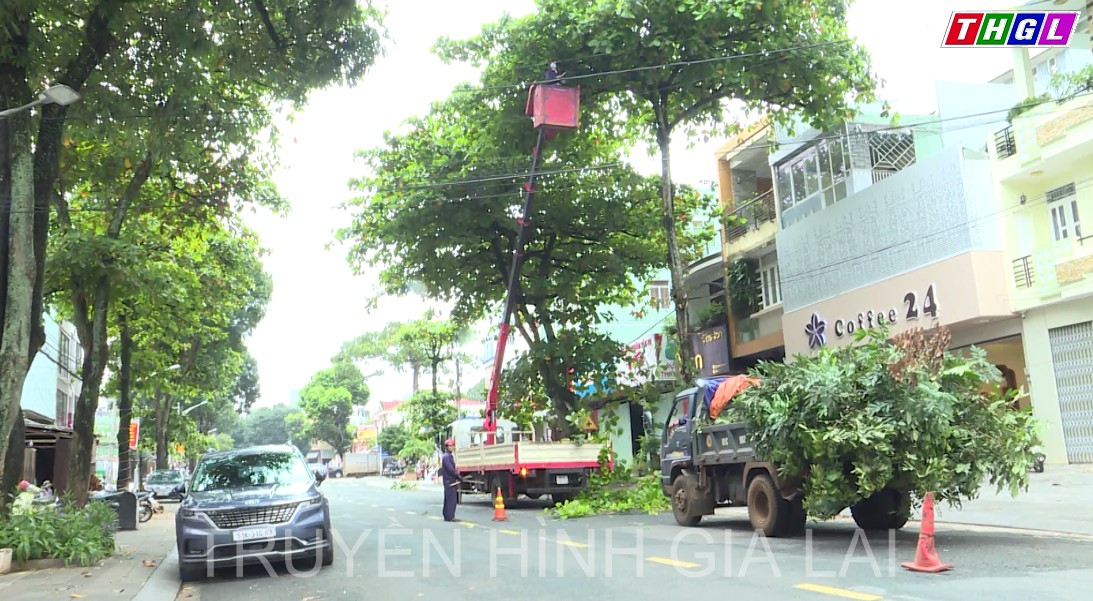 Khẩn trương cắt tỉa cây xanh để phòng chống cơn bão số 4.