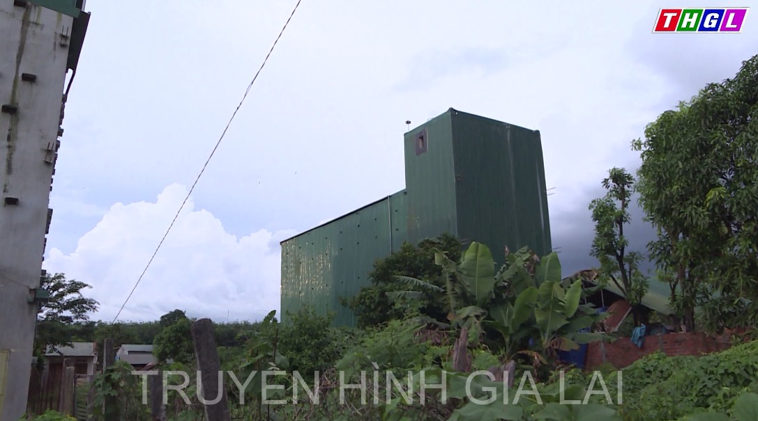 Huyện Đức Cơ có khoảng 200 hộ gia đình nuôi chim yến