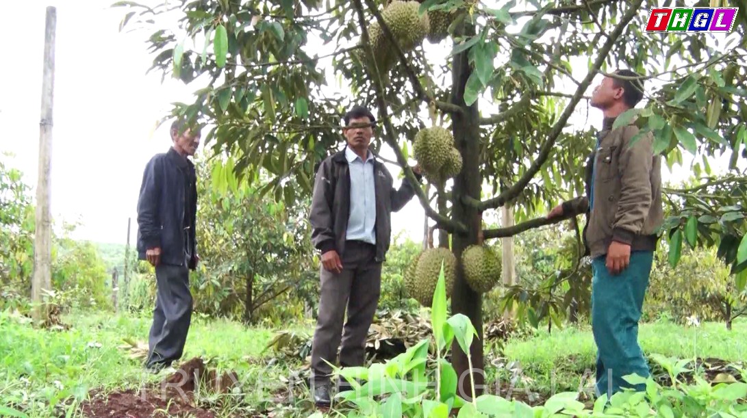 Bí thư Chi bộ “nói đi đôi với làm”