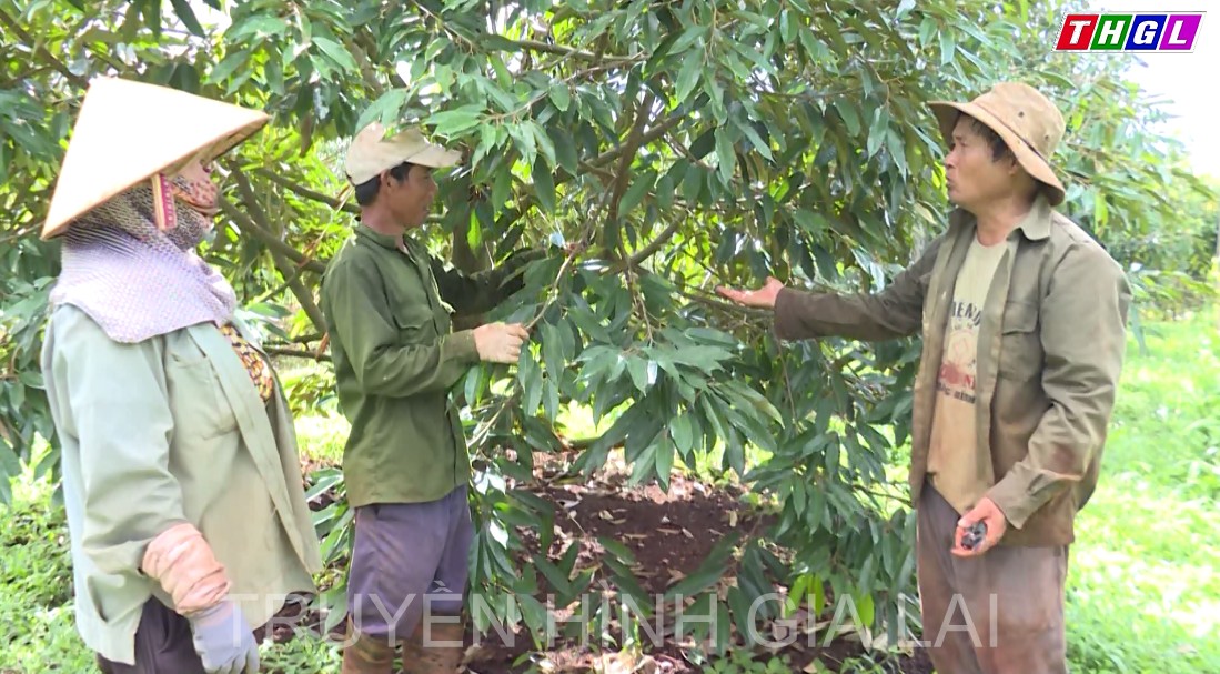 Ông Lê Danh Lăng tích cực trong phong trào sản xuất kinh doanh giỏi
