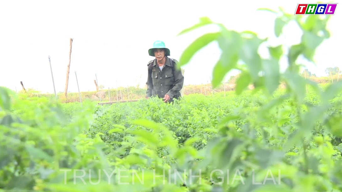 Gia Lai đầu tư trên 905 tỷ đồng để triển khai kế hoạch giảm nghèo bền vững giai đoạn 2021 – 2025