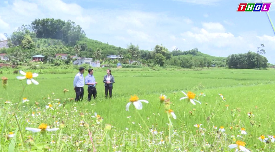 Nâng cấp thủy lợi nhỏ phục vụ sản xuất nông nghiệp