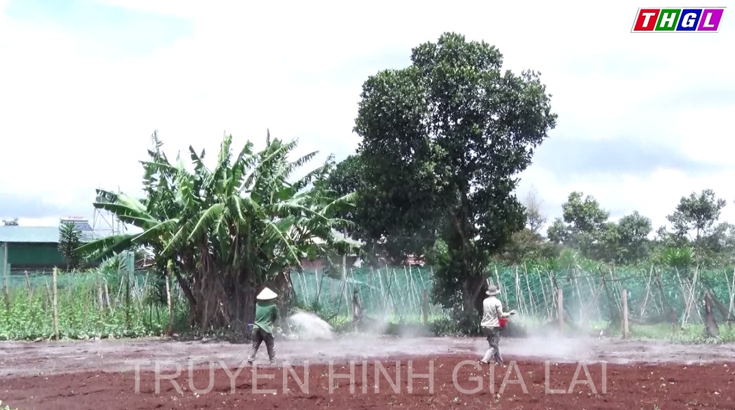 Khuyến khích sử dụng phân bón hữu cơ từ phế phụ phẩm nông nghiệp