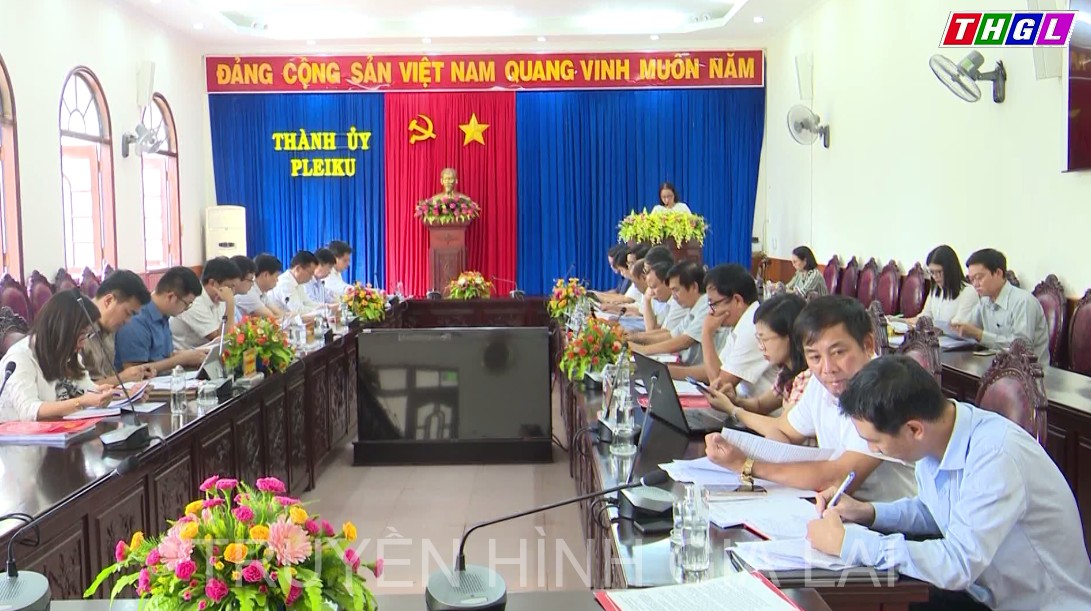 Đoàn công tác của Ban tổ chức Trung ương làm việc với Thành ủy Pleiku