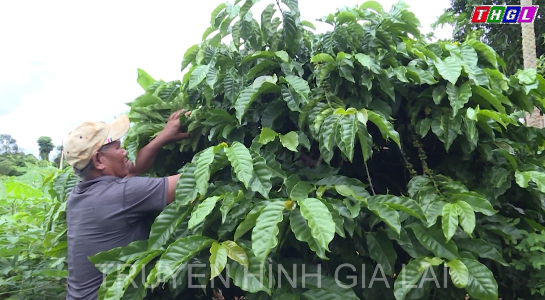 Cựu chiến binh Đinh Nhếp tỏa sáng phẩm chất “Bộ đội Cụ Hồ