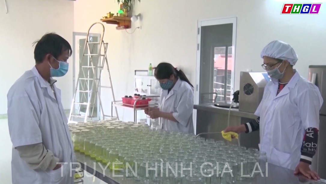 An Khê thực hiện chuyển đổi cơ cấu nông nghiệp để giảm nghèo