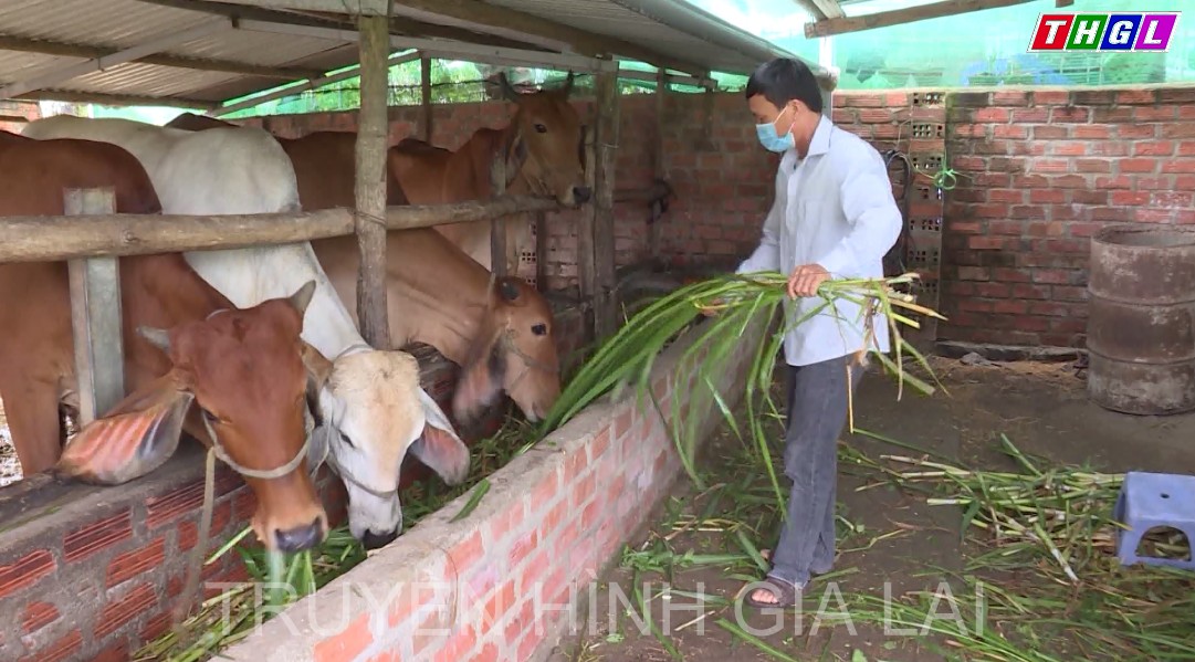 Thị xã An Khê tăng cường phát huy hiệu quả hoạt động của chương trình tín dụng chính sách