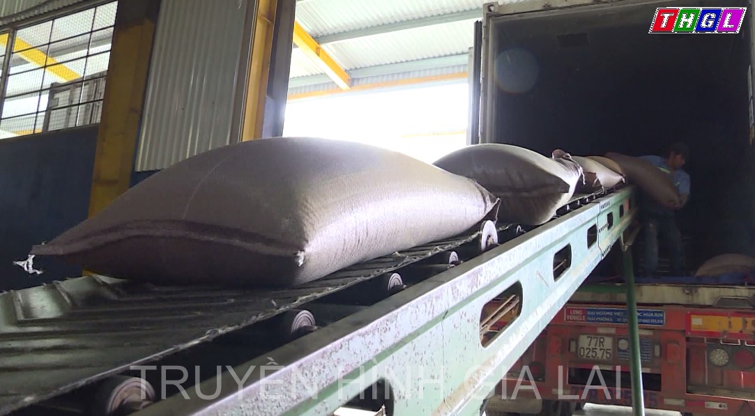 Tỉnh Gia Lai hiện có khoảng 30 doanh nghiệp tham gia xuất khẩu