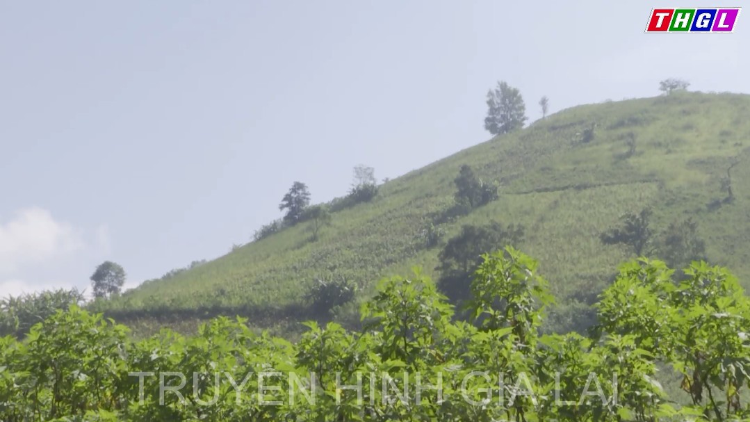 Chư Păh kiểm tra thực tế về công tác chuẩn bị cho Tuần lễ  Hoa Dã Quỳ – Núi lửa Chư Đăng Ya năm 2022