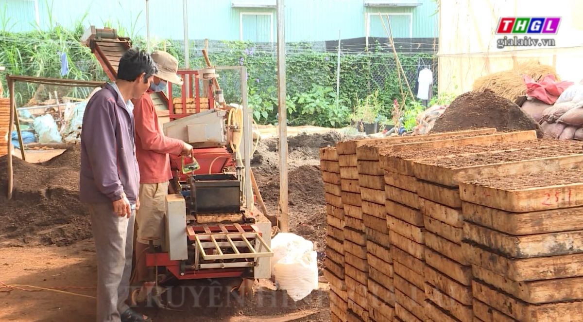 Dự kiến hơn 01 tỷ đồng hỗ trợ các HTX trên địa bàn tỉnh Gia Lai trong xúc tiến thương mại năm 2023