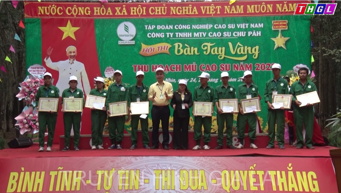 Cao su Chư Pah tổ chức hội thi bàn tay vàng khai thác mủ cao su năm 2022