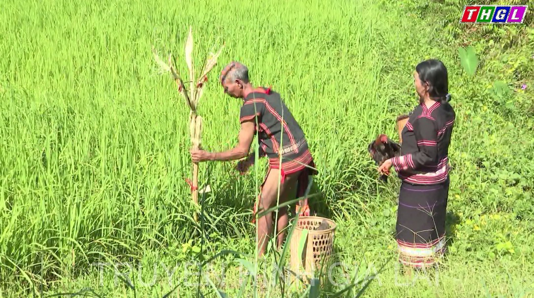 Lễ Pơ Jrao – Nét đẹp văn hóa Jrai