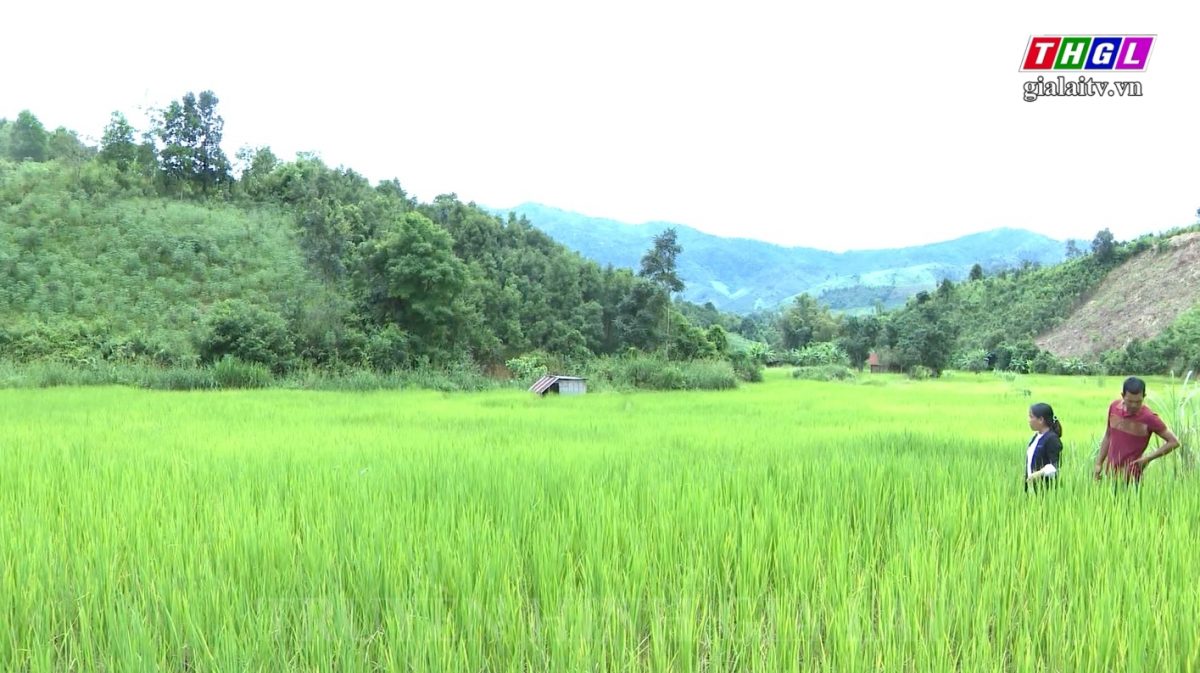 Nghèo không đổ lỗi cho số phận