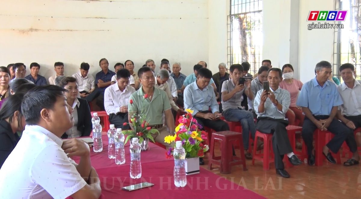 Đức Cơ có 2 hợp tác xã liên kết thu mua quả sầu riêng xuất khẩu