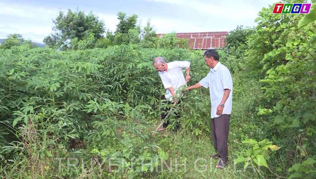 Hội Người Cao tuổi xã Đất Bằng – Điểm sáng trong công tác hỗ trợ vay vốn thoát nghèo