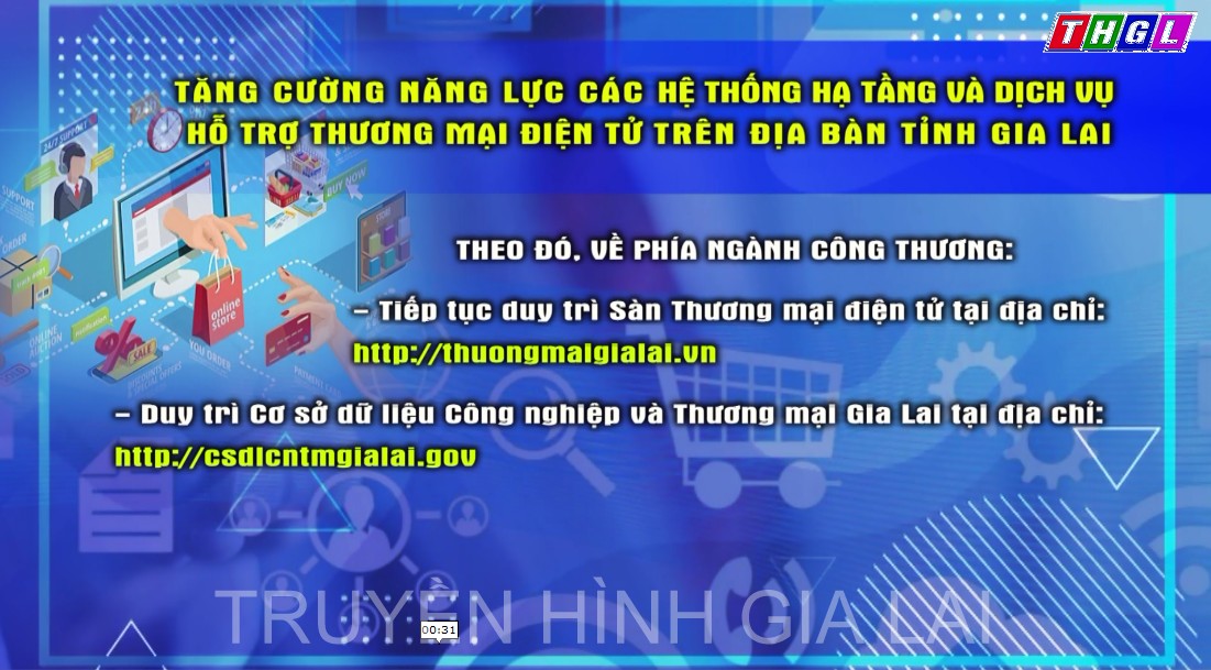 Tăng cường năng lực các hệ thống hạ tầng và dịch vụ hỗ trợ thương mại điện tử  trên địa bàn tỉnh Gia Lai