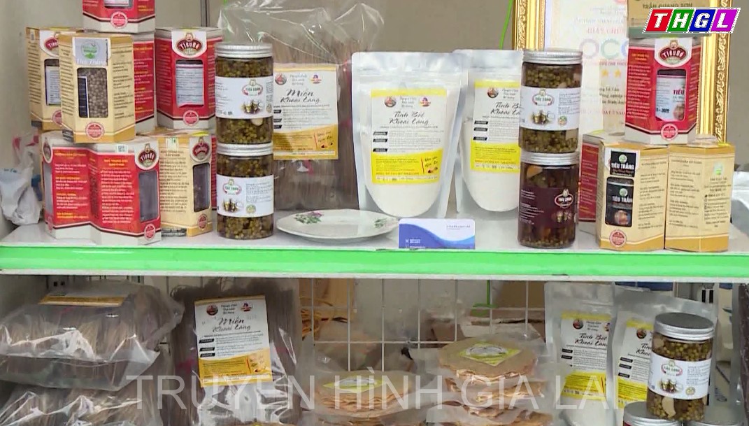 Đổi mới phương thức kinh doanh tiêu thụ nông sản, tỉnh Gia Lai phấn đấu đến năm 2025 có ít nhất 70% số HTX nông nghiệp tham gia liên kết theo chuỗi