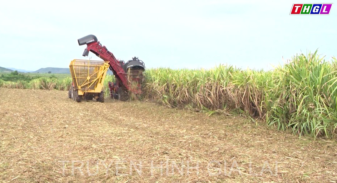 Huyện Kbang phấn đấu thực hiện tiêu chí số 10 về thu nhập trong xây dựng nông thôn mới