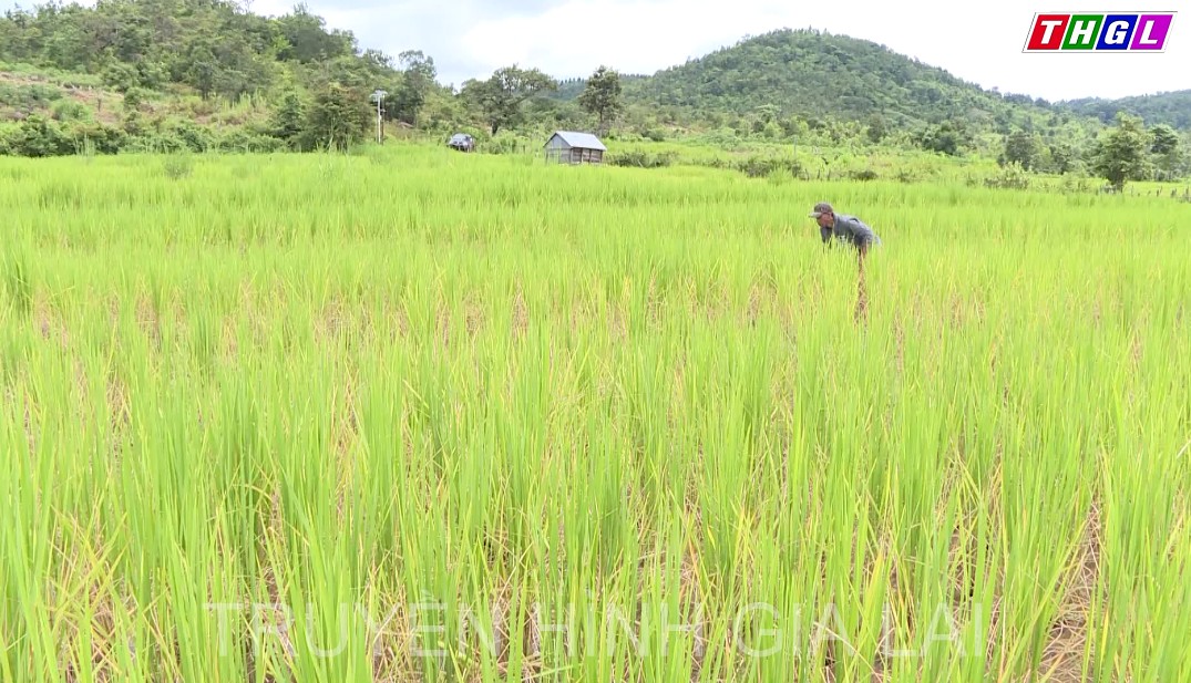 Xây dựng nông thôn mới ở xã vùng khó