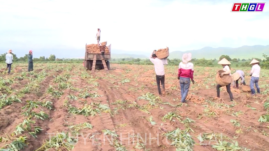 Huyện Krông Pa: Hơn 51.000 lượt hộ dân được tiếp cận với vốn vay ưu đãi