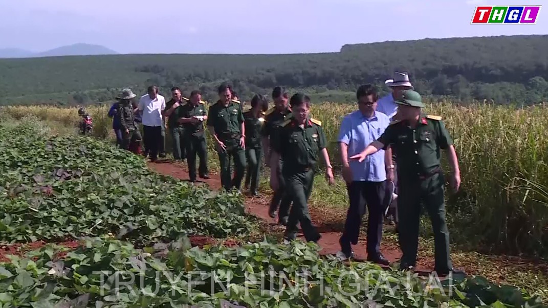 Ban Dân vận Tỉnh ủy Gia Lai khảo sát mô hình Dân vận khéo