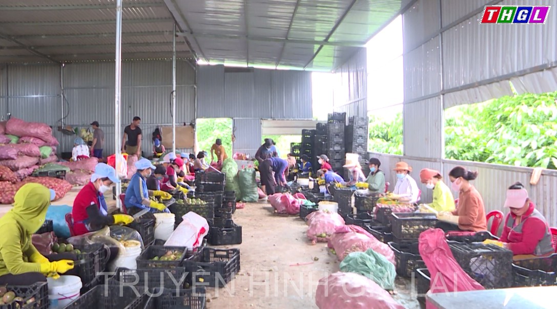 Phụ nữ phát triển sản xuất kinh doanh và tạo thêm việc làm cho người lao động