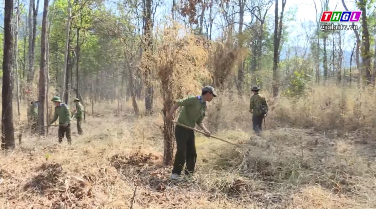 Kế hoạch phòng cháy, chữa cháy rừng tỉnh Gia Lai mùa khô năm 2022 – 2023