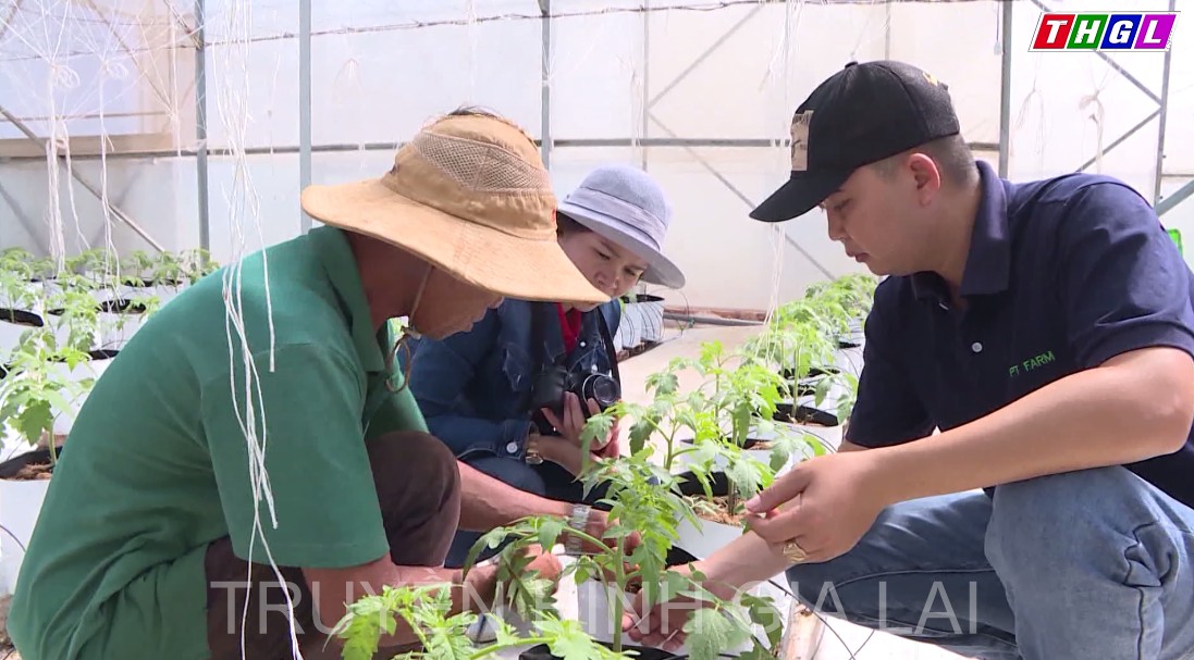 Phát triển nông nghiệp thông minh thích ứng biến đổi khí hậu