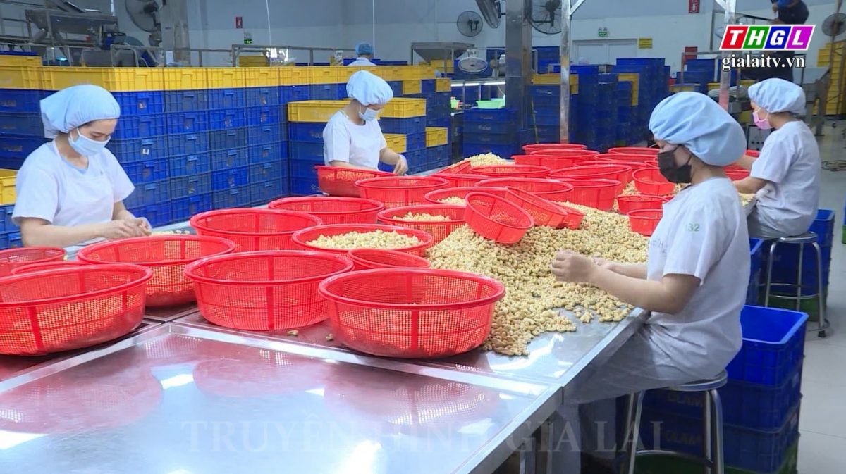 Sẽ đồng loạt có chính sách ưu đãi khi dùng sản phẩm, dịch vụ số trong tháng 10