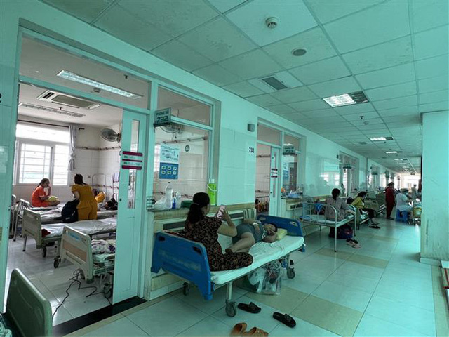 Cảnh báo dịch sốt xuất huyết bùng phát vào tháng 11,12