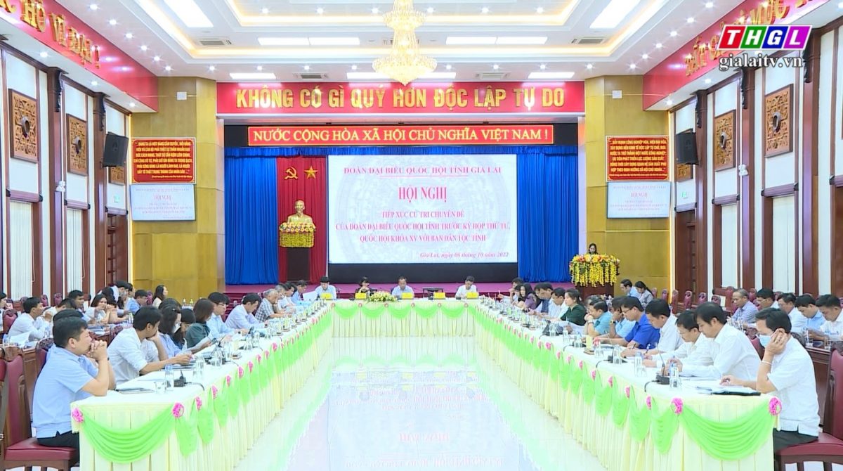 Đoàn đại biểu Quốc hội tỉnh Gia Lai tiếp xúc cử tri chuyên đề với Ban Dân tộc tỉnh