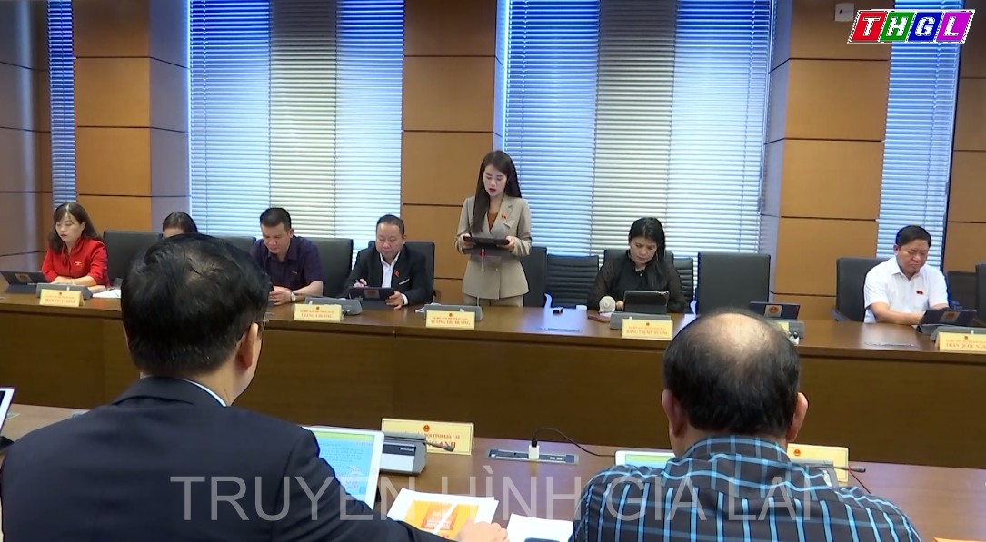 Đại biểu Quốc hội tỉnh Gia Lai đóng góp nhiều ý kiến quan trọng liên quan đến dự thảo Nghị quyết thí điểm cấp quyền lựa chọn biển số xe ô tô thông qua đấu giá