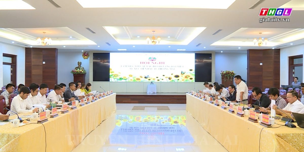 UBND tỉnh Gia Lai làm việc với Câu lạc bộ Sao Vàng đất Việt về xúc tiến đầu tư thương mại