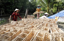 Cả nước chung tay vì người nghèo – Hành trình của sự sẻ chia và tự lực vươn lên