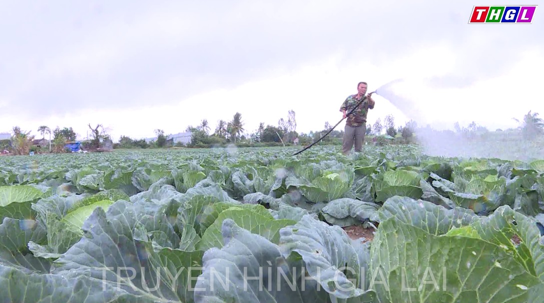 Xây dựng thương hiệu, nhãn hiệu: Mở ra cơ hội phát triển cho sản phẩm