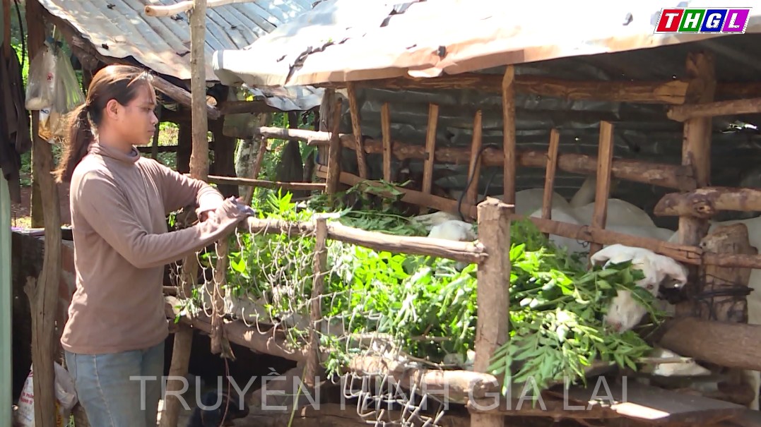 Gia Lai chung tay vì người nghèo